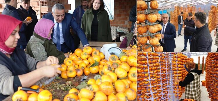 İl Tarım Müdüründen Trabzon Hurması Kurutan Çifte Ziyaret