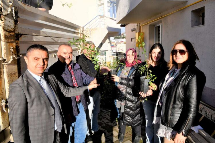 Samsun’da üreticiye kuşburnu fidanı desteği