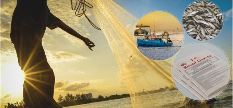 2024 yılı Küçük Ölçekli Balıkçılık Desteklemesi Başvuruları Başladı