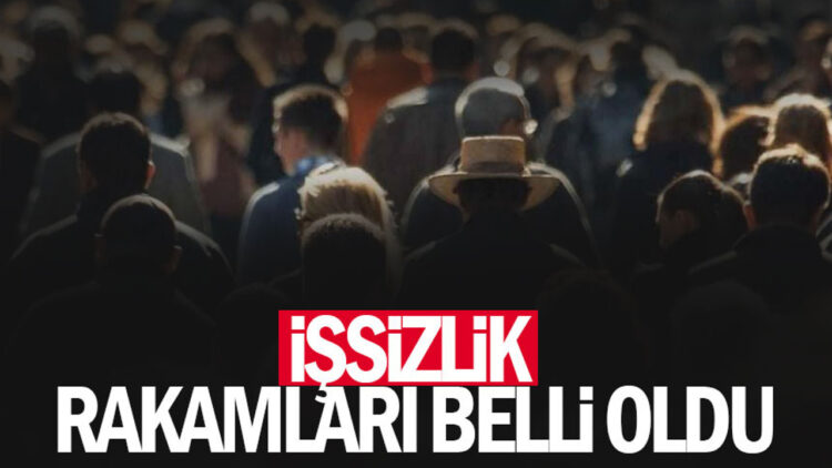 Resmi Verilere Göre Türkiye’deki İşsizlik Durumu Belli Oldu