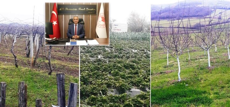 Meyvecilikte Gübrelemenin Önemi