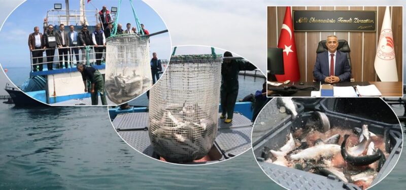Samsun’da Su Ürünleri Yetiştiriciliğinde Verim ve Destekler Giderek Artıyor