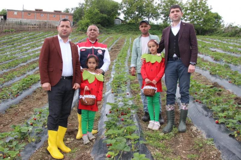 ALAÇAM ‘DA İLK ÇİLEK HASADI YAPILDI