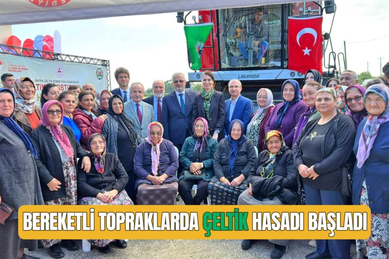 BEREKETLİ TOPRAKLARDA ÇELTİK HASADI BAŞLADI