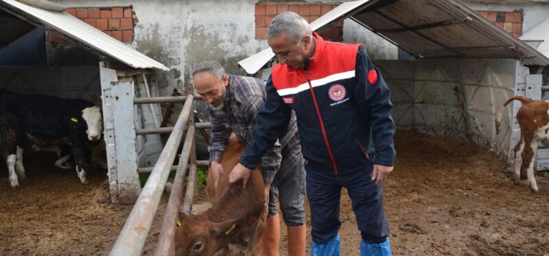 JERSEY PROJESİ İLİMİZDE DEVAM EDİYOR