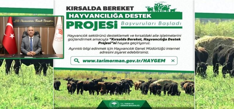 “Kırsalda Bereket, Hayvancılığa Destek” Projesi’ne Başvurular Başladı
