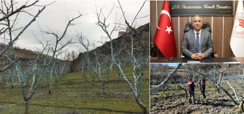 Değerli Üreticilerimiz Bordo Bulamacı Uygulama Zamanını Kaçırmayalım!