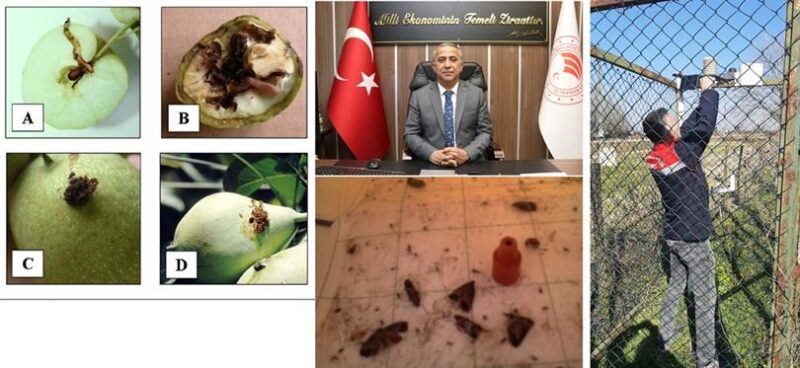 Tahmin ve Erken Uyarı Sistemlerinin Önemine Dikkat Çekti