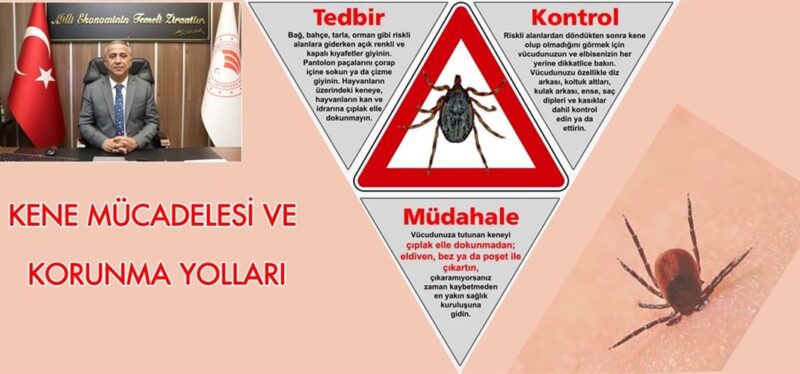 Sağlam Kene Mücadelesi ve Korunma Yolları Konusuna Dikkat Çekti