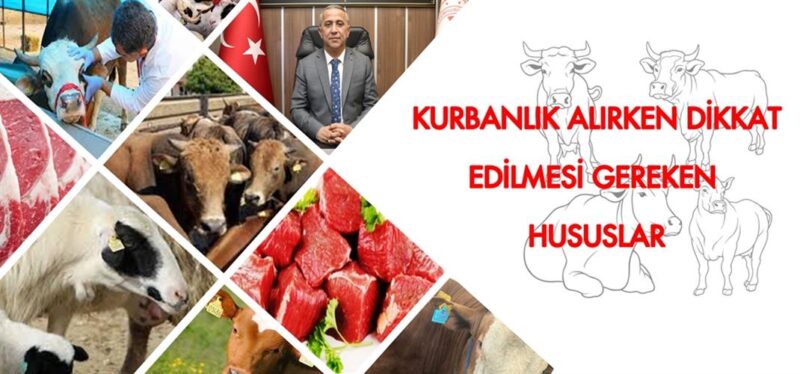 Kurbanlık Hayvan Seçilirken Dikkat Edilecek Hususlar