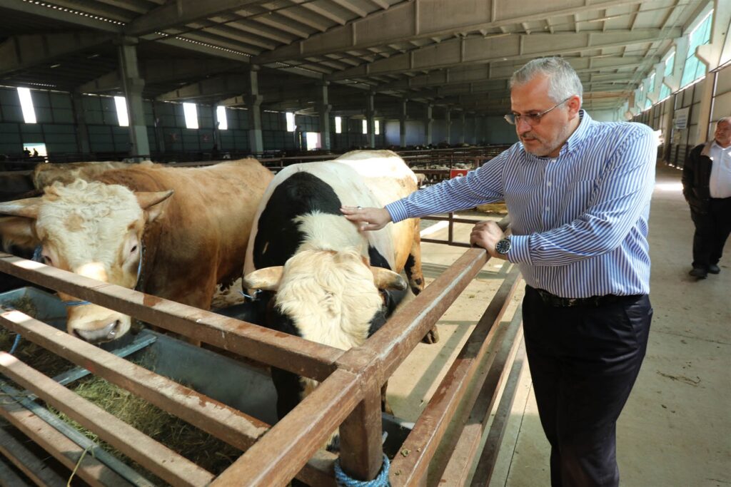 BAŞKAN KILIÇ’TAN KURBAN BAYRAMI ÖNCESİ HAYVAN PAZARI ZİYARETİ