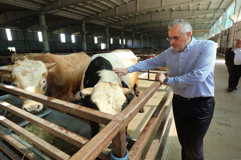 BAŞKAN KILIÇ’TAN KURBAN BAYRAMI ÖNCESİ HAYVAN PAZARI ZİYARETİ