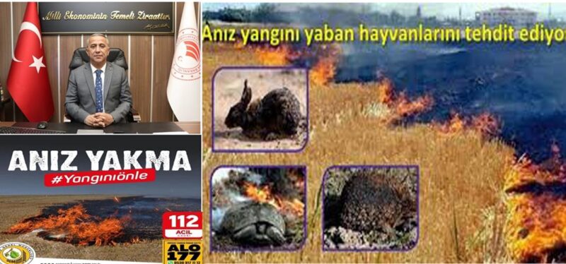 İbrahim Sağlam Anız Yangınlarına” Dikkat Çekti