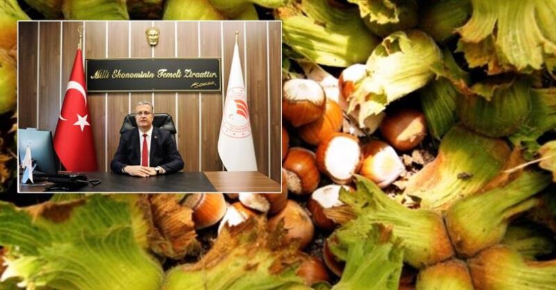 Kahverengi Kokarcaya Karşı Etkin Mücadele Şart