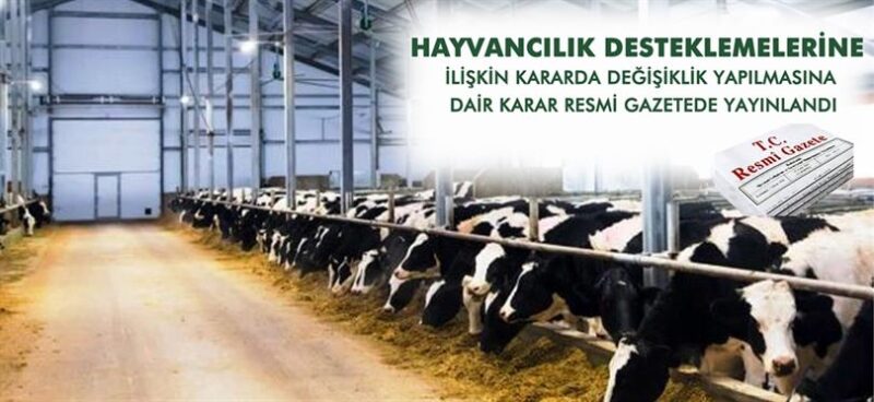 2024-2026 Yıllarında Yapılacak Hayvancılık Desteklemeleri Resmi Gazetede