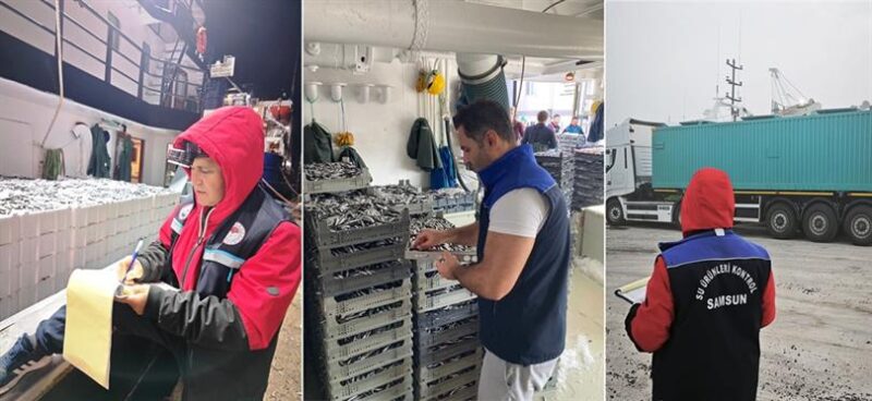 Hamsi Avcılığı Denetimleri Devam Ediyor