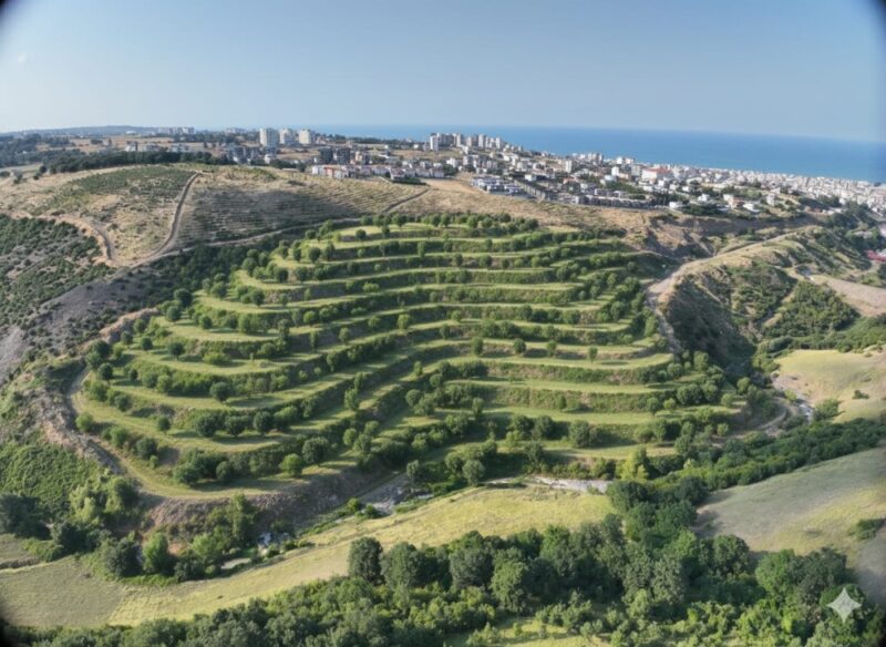 SAMSUN’DA HARİFİYATTA DİJİTAL DÖNÜŞÜM ADIM ADIM GERÇEKLEŞTİRİLİYOR