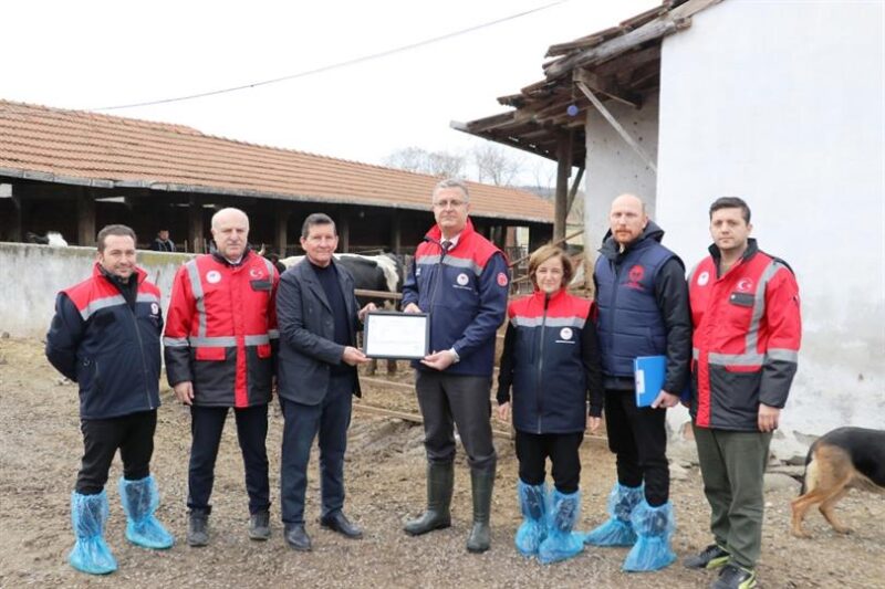 İlimizde Ari İşletme Sayısı Son Hızla Artıyor