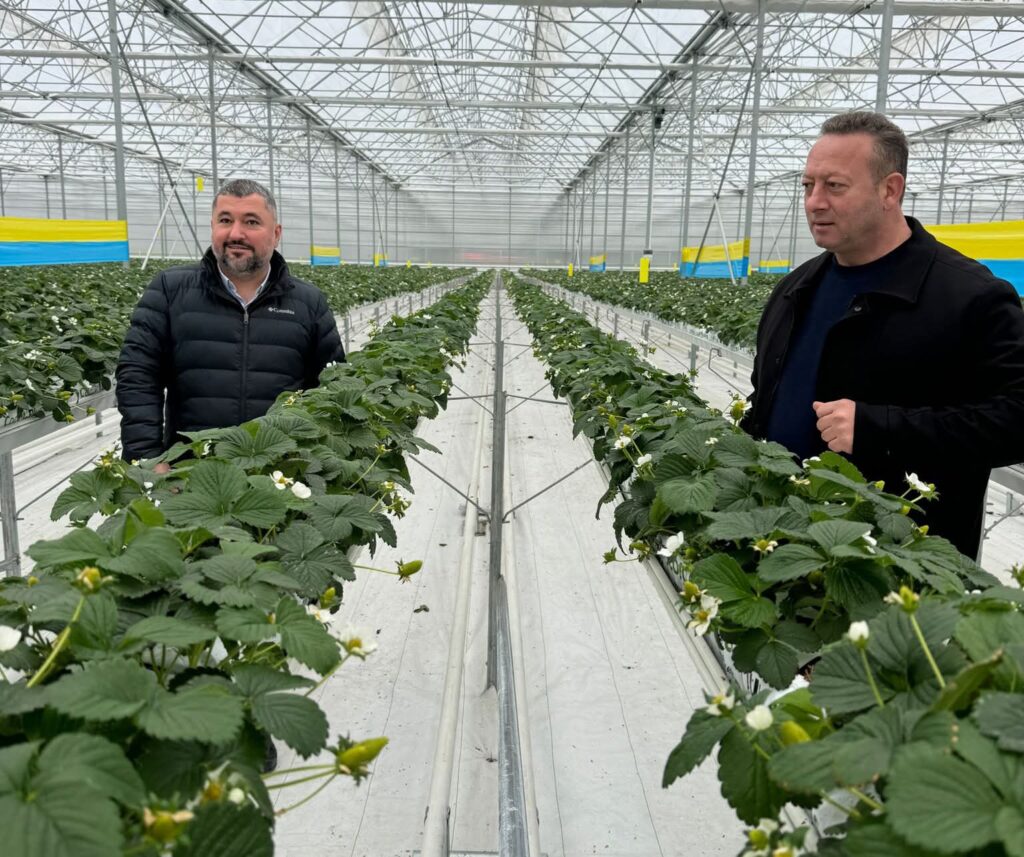 Bafra TSO’dan Sera OSB’ye Ziyaret