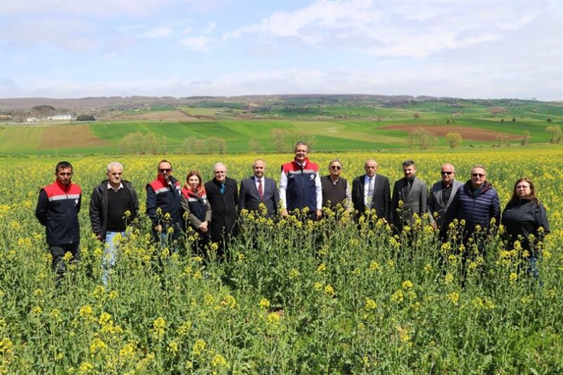 Samsun’da Ayçiçeği ve Kuru Fasulye Tohum Teslimi Yapıldı