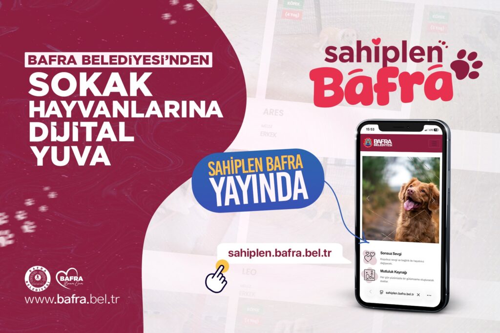 Bafra Belediyesi’nden Sokak Hayvanlarına Dijital Yuva