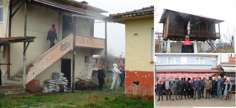 Samsun’da “Kahverengi Kokarca”ya Karşı Kışlak Mücadelesi Sürüyor