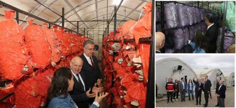 Kadın Girişimcilerden Katma Değerli Üretim