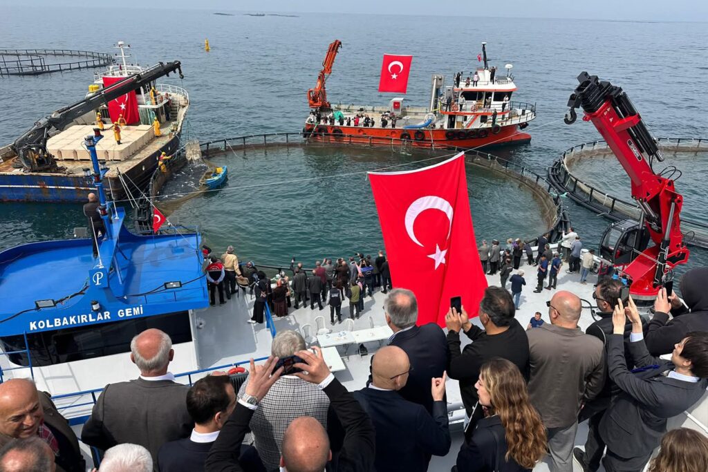 1. Türk Somonu Hasat Şenliği Yakakent’te Gerçekleşti