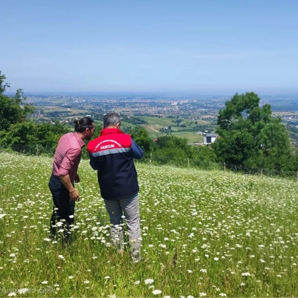 📍SALEP KOMİSYONU ÜRETİM ALANLARINDA İNCELEMELERDE BULUNDU