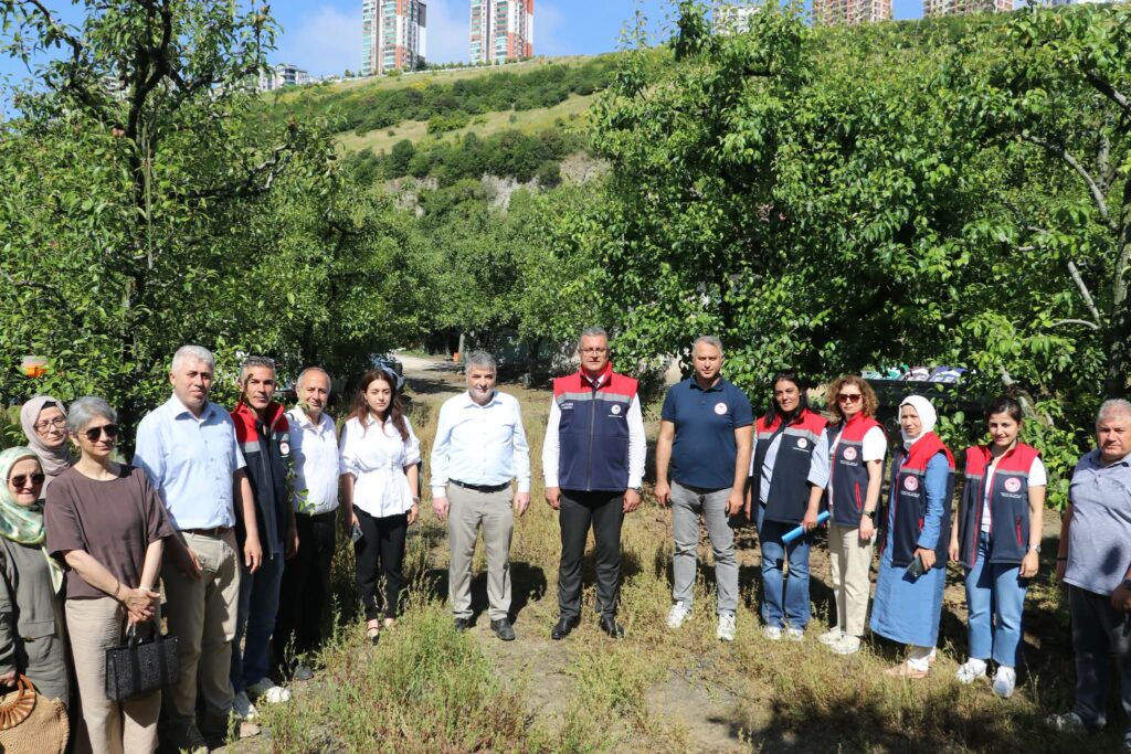AKDENİZ MEYVE SİNEĞİNE KARŞI ÇEVRE DOSTU MÜCADELE BAŞLATILDI