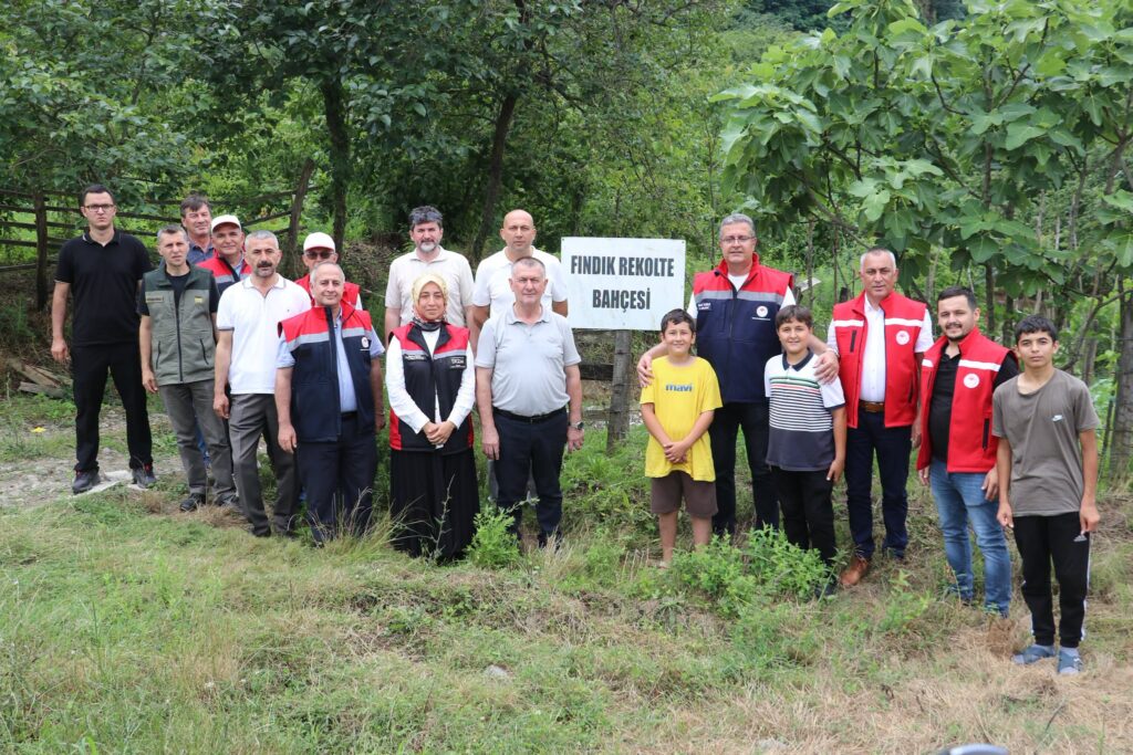 SAMSUN’DA 2026 FINDIK REKOLTE MESAİSİ SÜRÜYOR