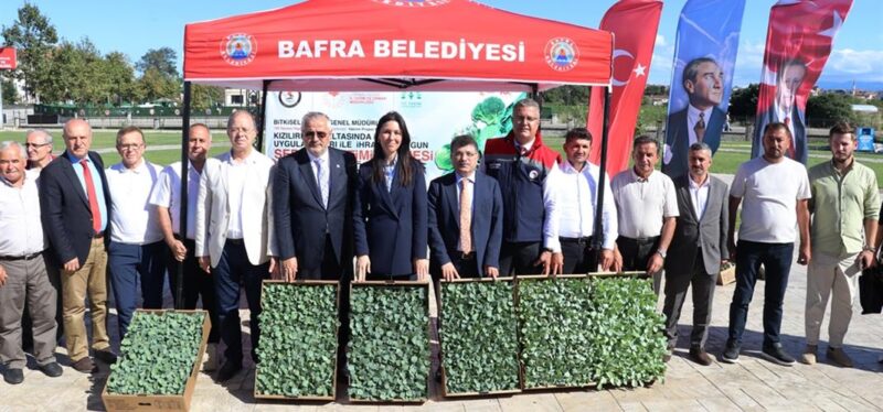 Kızılırmak Deltası’nda Kışlık Sebze Üretimine Fide Desteği
