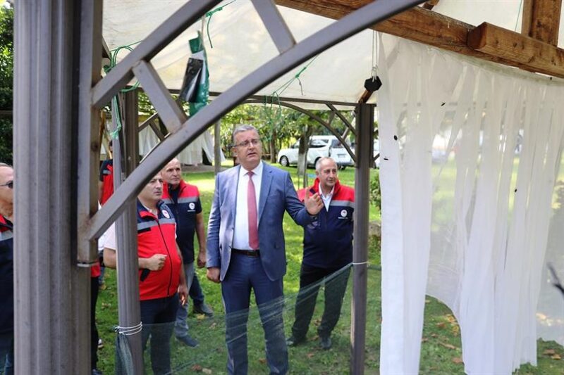 Kahverengi Kokarca İle Mücadelede ‘Cezbet Ve Yok Et’ Yöntemi