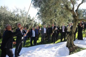 ALAÇAM’DA ZEYTİN YETİŞTİRİCİLİĞİ GELİŞİYOR: Hedef Daha Fazla Üretim, Daha Fazla Katma Değer!